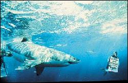 A18_24 (350x228, 18 kБ...)